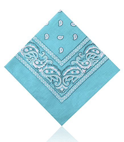 Sky Blue Bandana